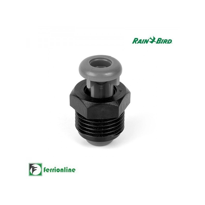 Valvola di sfiato aria da 1/2" Mod. XBER12 - Rain Bird Valvola di sfiato aria da 1/2" Mod. XBER12 - Rain Bird