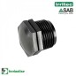 Tappo Filettato Maschio D. 3/4" Tappo Filettato Maschio D. 3/4"